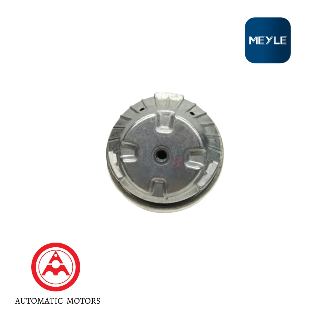 Mercedes Benz Meyle Engine Mounting W221-S300 350 W220-S280 320 2202400717 2202400617 2212401117 0140242066