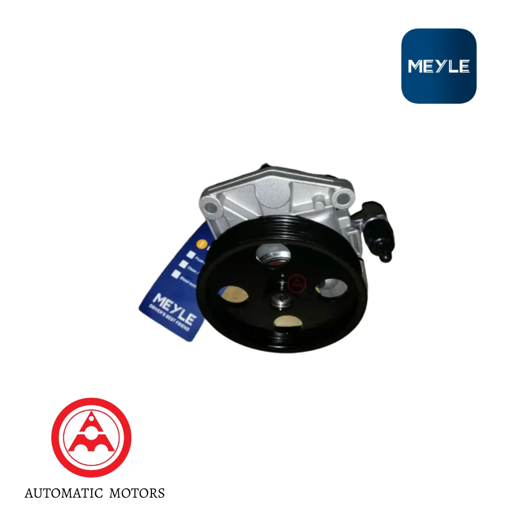 Mercedes Benz Meyle Steering Hydraulic Pump W219 0044663601 0044663701 0054661401 0011026016 0146310033