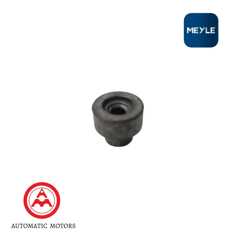 Mercedes Benz Meyle FUEL NOZZLE BUSH M102 M110 M116 M117 961/3 1160780873 0140070049 0011022547