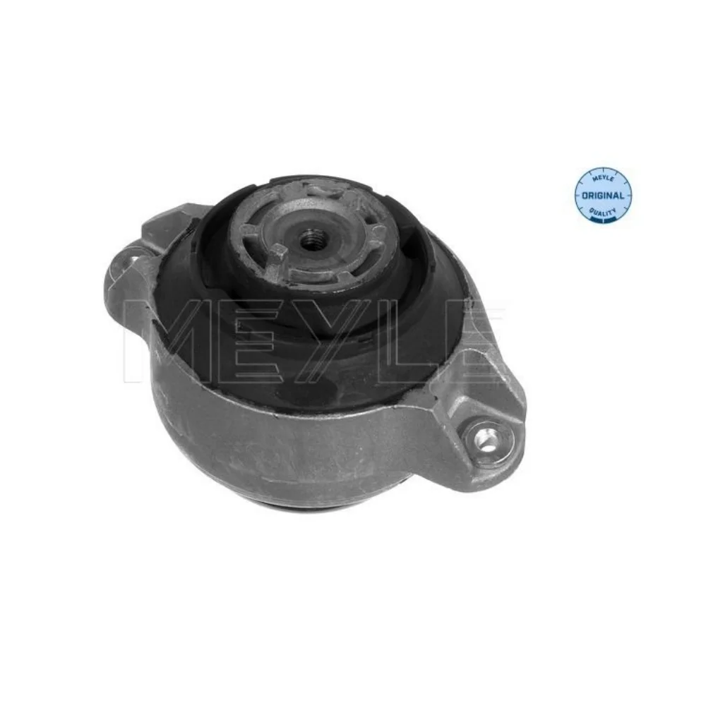 Mercedes Benz Meyle Engine Mounting W140 S280/320 W129 280/300 1402402017 1402402117 0140249063 1402401117