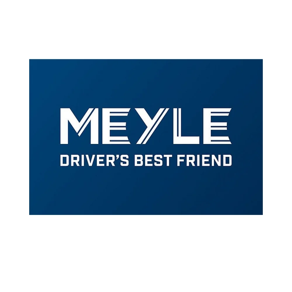 Mercedes Benz Meyle Rear Absorber W117/W176/W246-[485] 1763200531 1763201331 1763201531 1173200931 2463201831