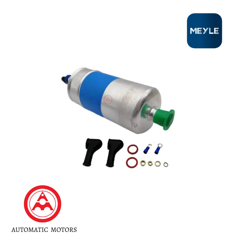 Mercedes Benz Meyle Electric Fuel Pump W116 FE W124 W126 W123 0020919701 1160900050 0580254942 0580254910 0140910000