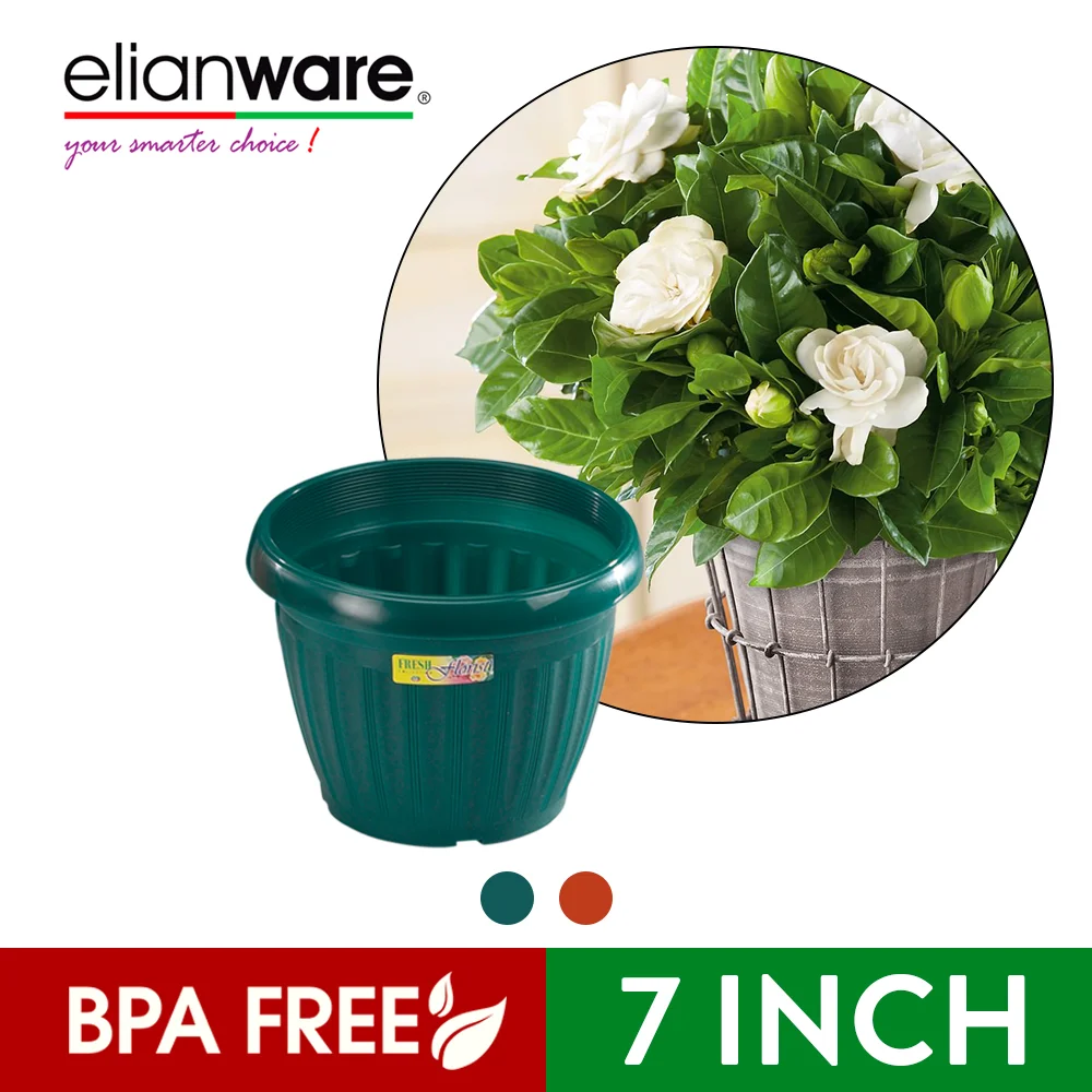Elianware BPA Free P