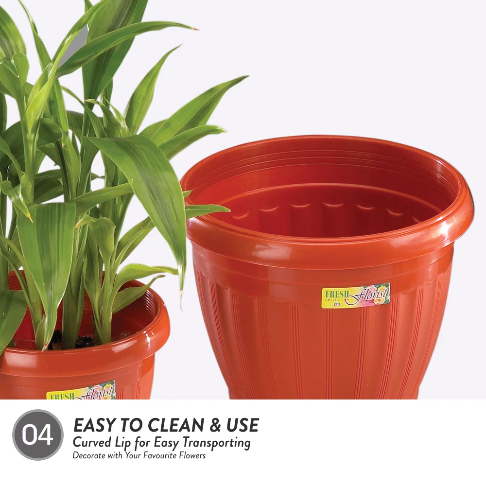 Elianware BPA Free P