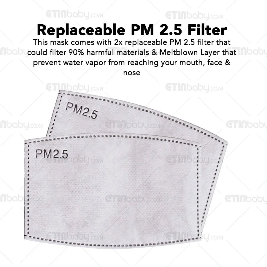 Mask Filter PM2.5