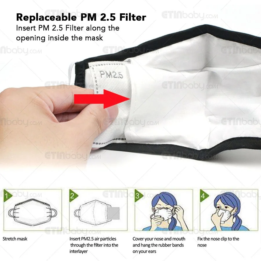 PM2.5 Face Mask with
