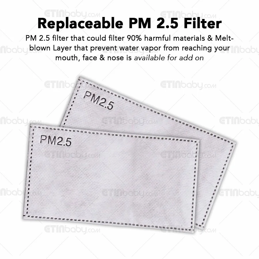 PM2.5 Face Mask with