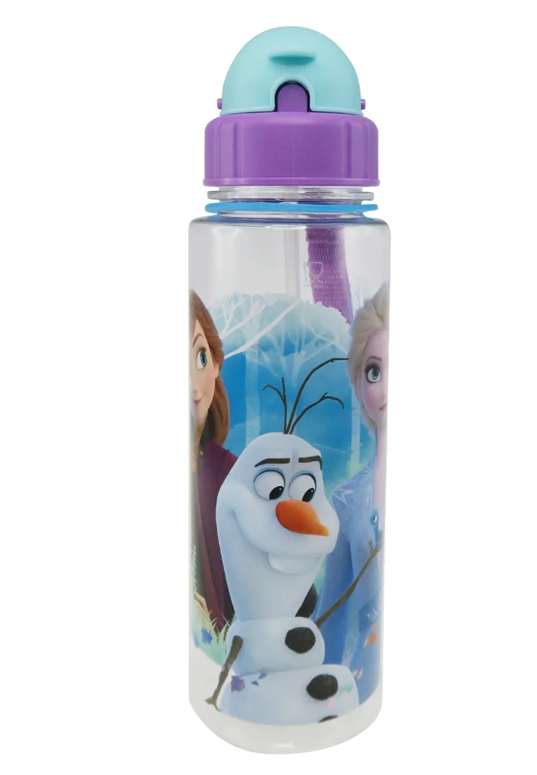 Disney Frozen 2 Dest