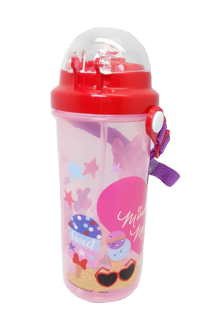 Disney Minnie Summer