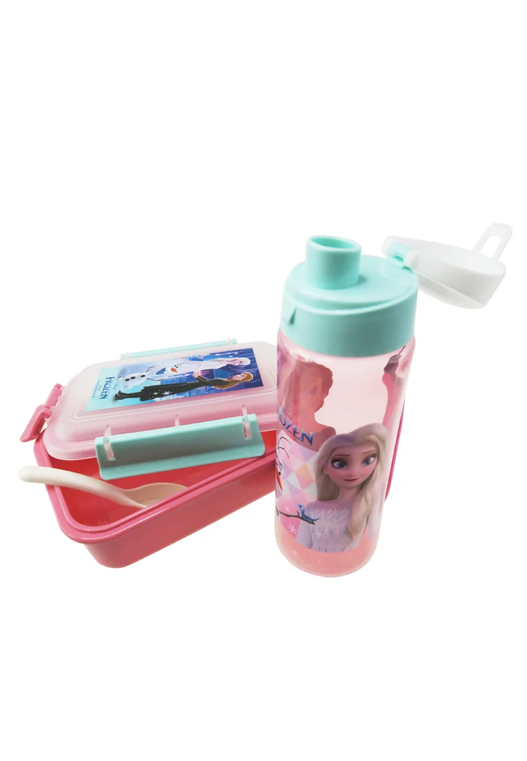 Disney Frozen 2 Dest
