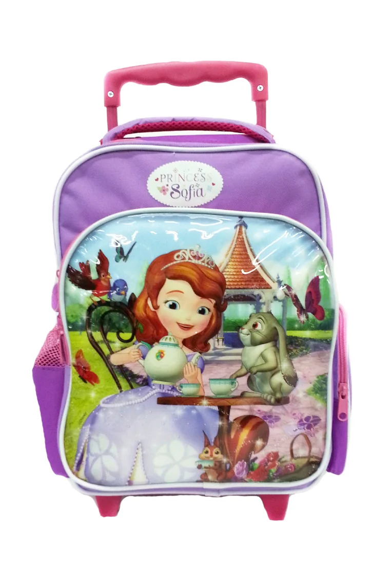 Disney Sofia Tea Par