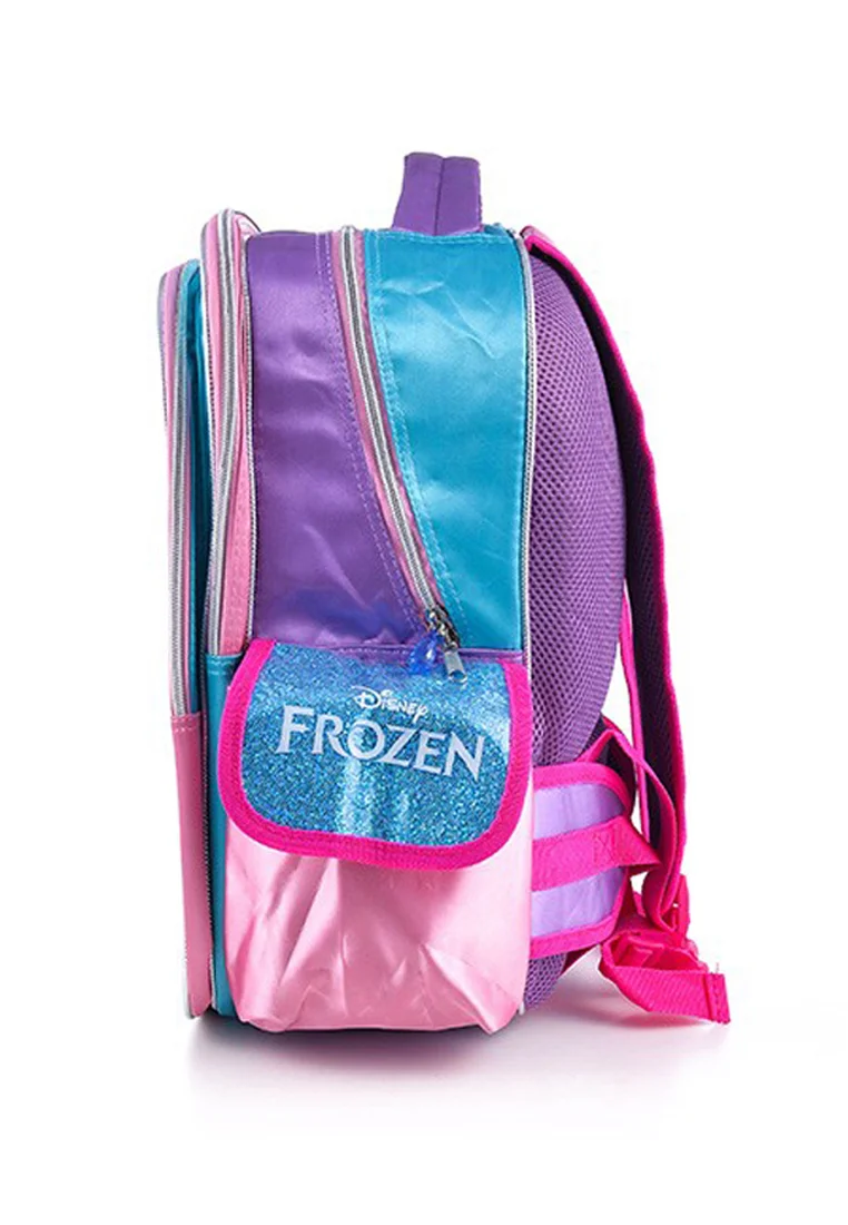 Disney Frozen Winter