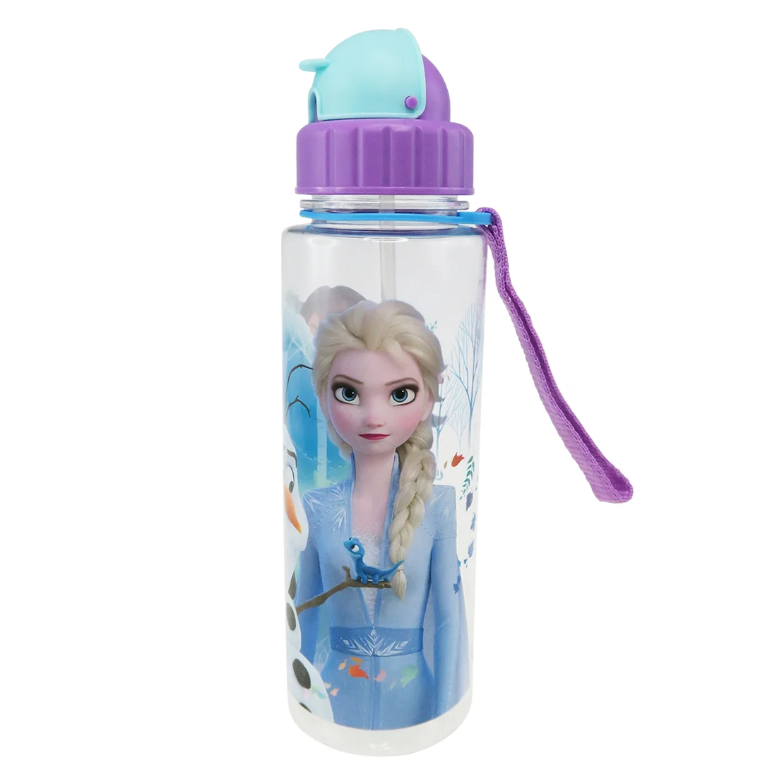 Disney Frozen 2 Dest