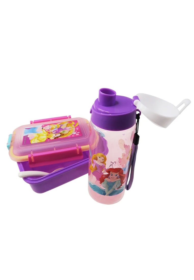 Disney Princess Stor