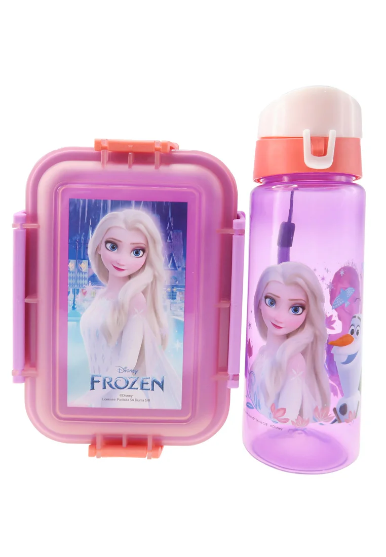Disney Frozen 2 Elsa