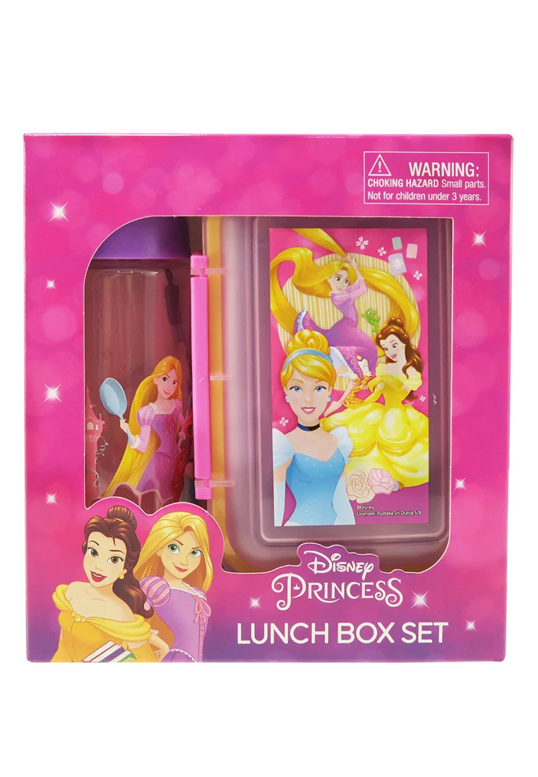 Disney Princess Stor