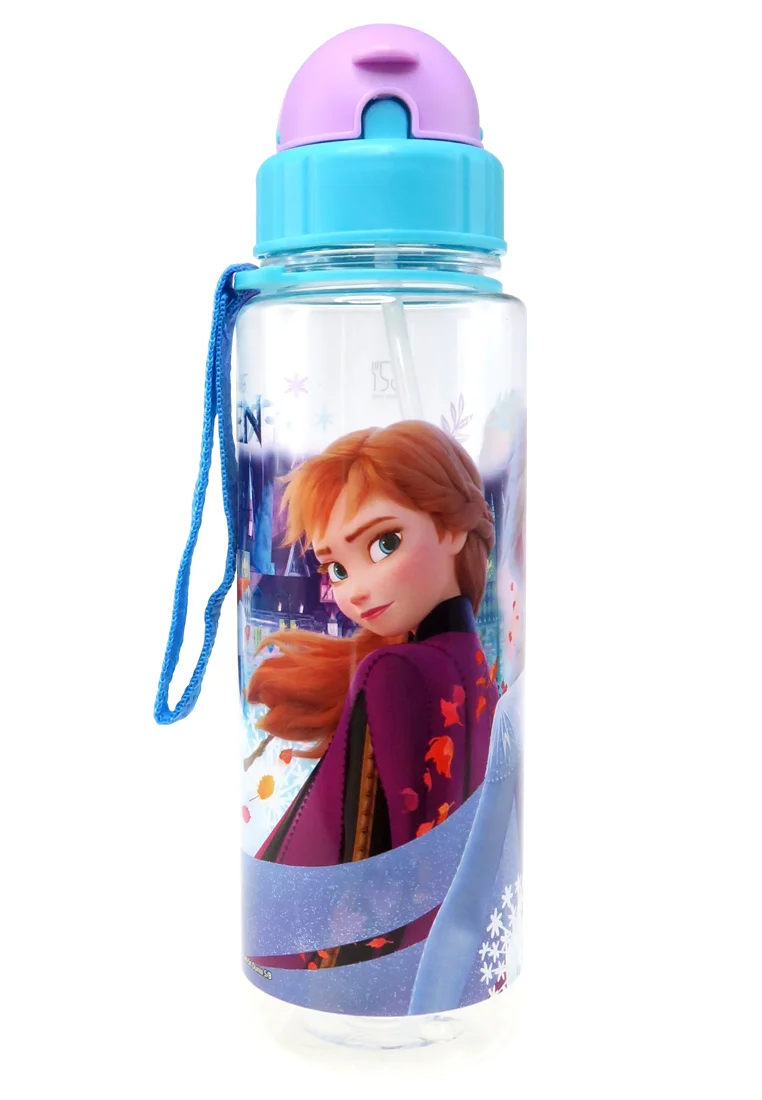Disney Frozen II Sno