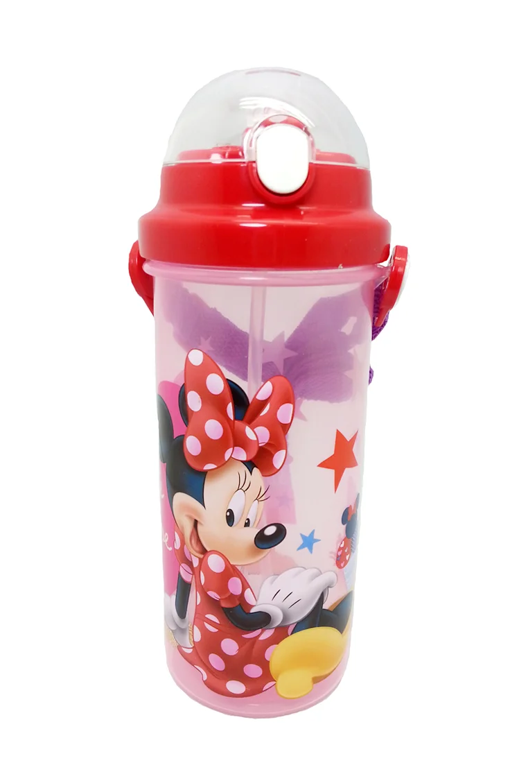 Disney Minnie Summer