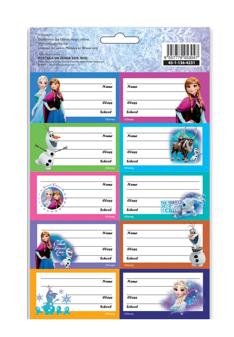 Disney Frozen School