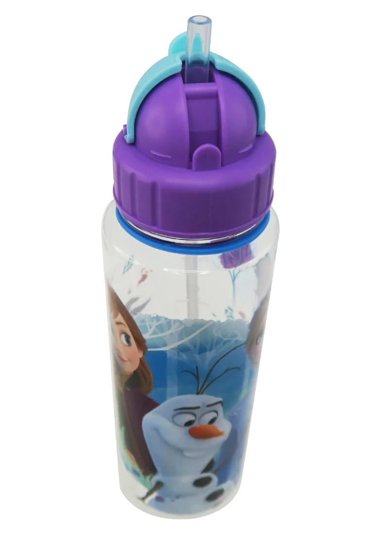 Disney Frozen 2 Dest