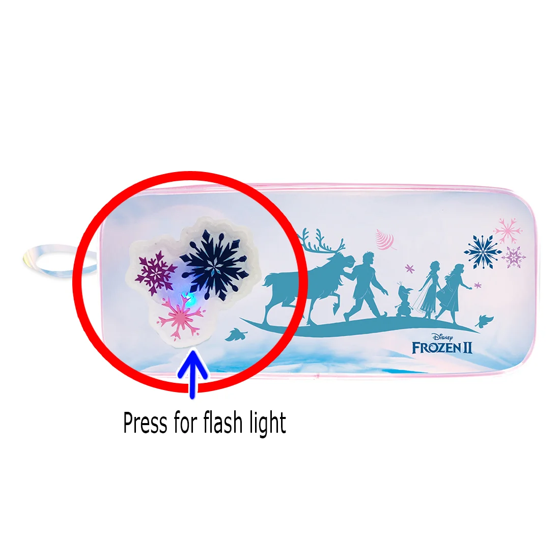 Disney Frozen 2 Flas