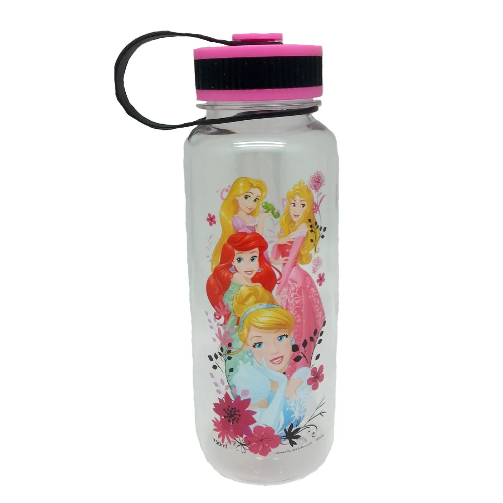 Disney Princess Char