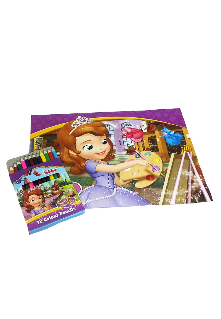 Disney Sofia Paintin