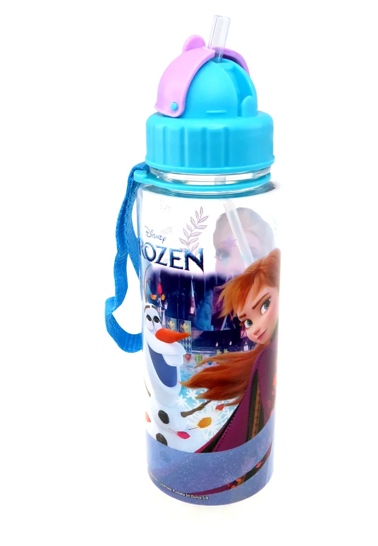 Disney Frozen II Sno