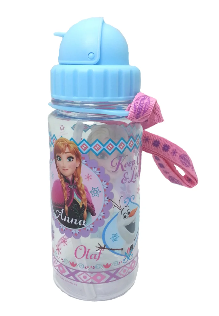 Disney Frozen Summer