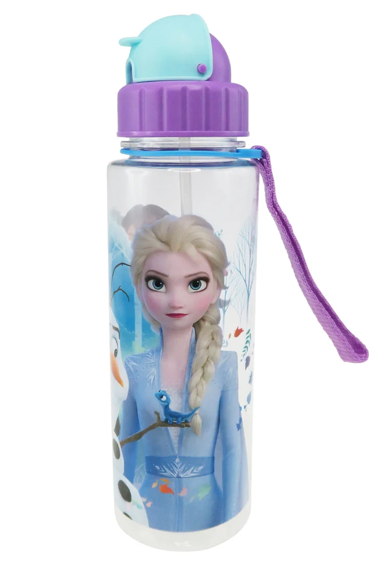 Disney Frozen 2 Dest