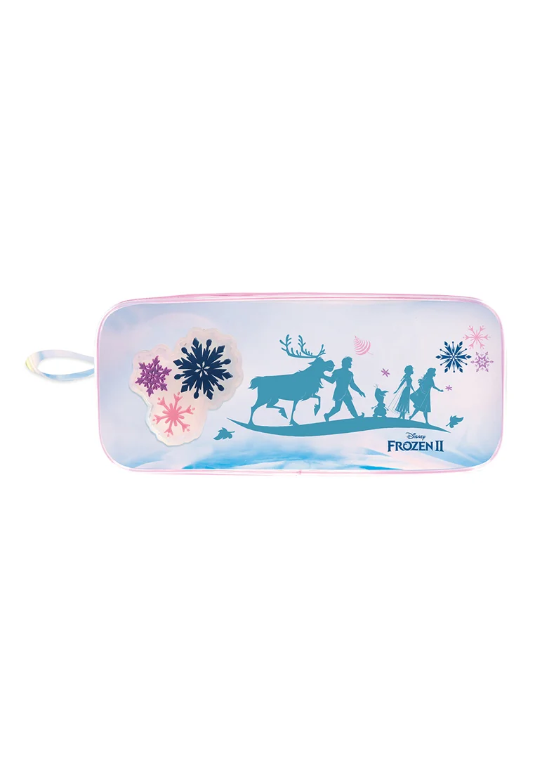 Disney Frozen 2 Flas