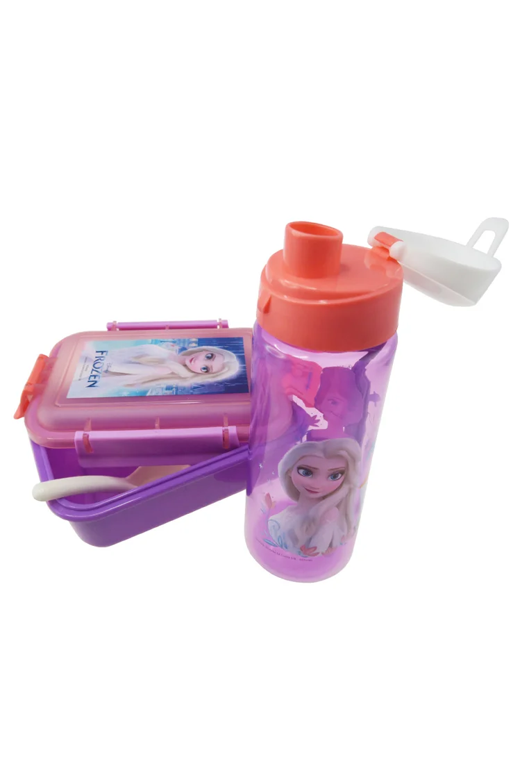 Disney Frozen 2 Elsa