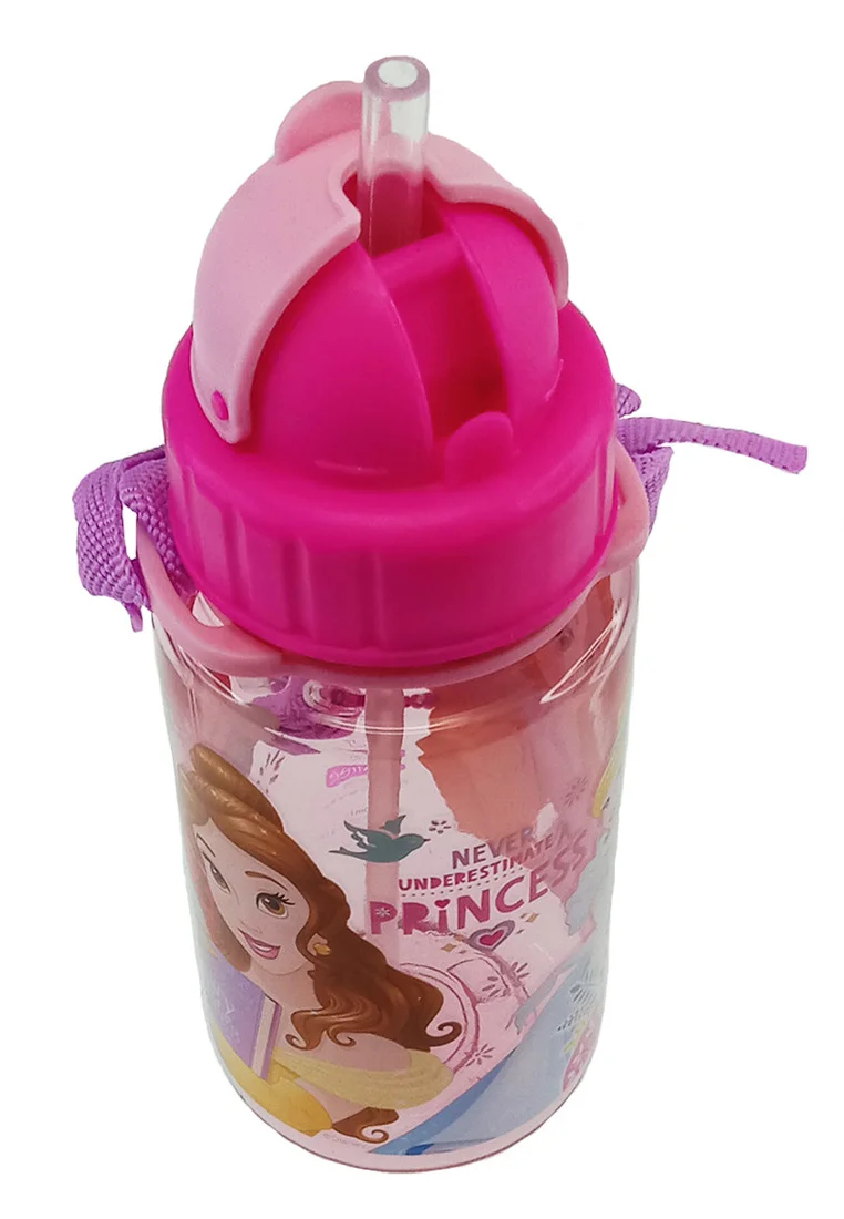 Disney Princess Pink