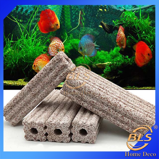 Filter Media for Nano Aquariums: Ultimate Guide to Crystal Clear Water