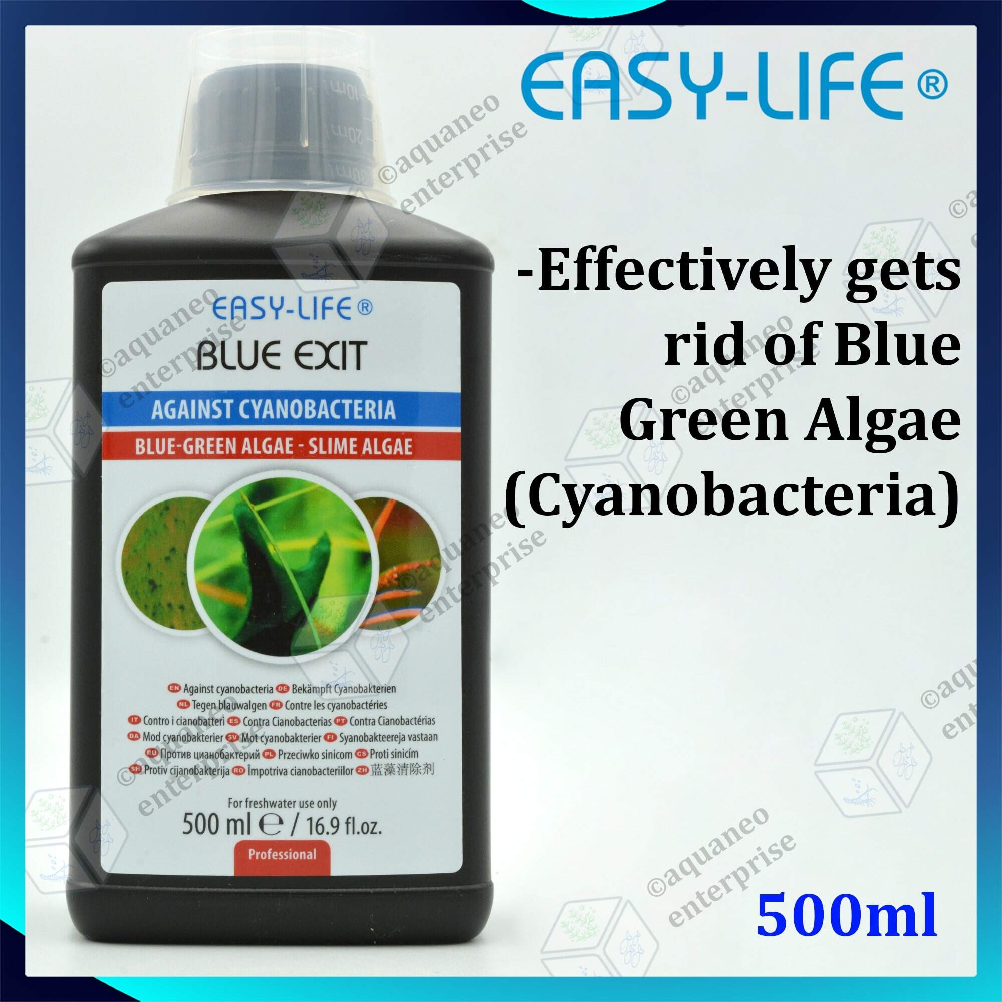 Natural Prevention And Long-Term Control