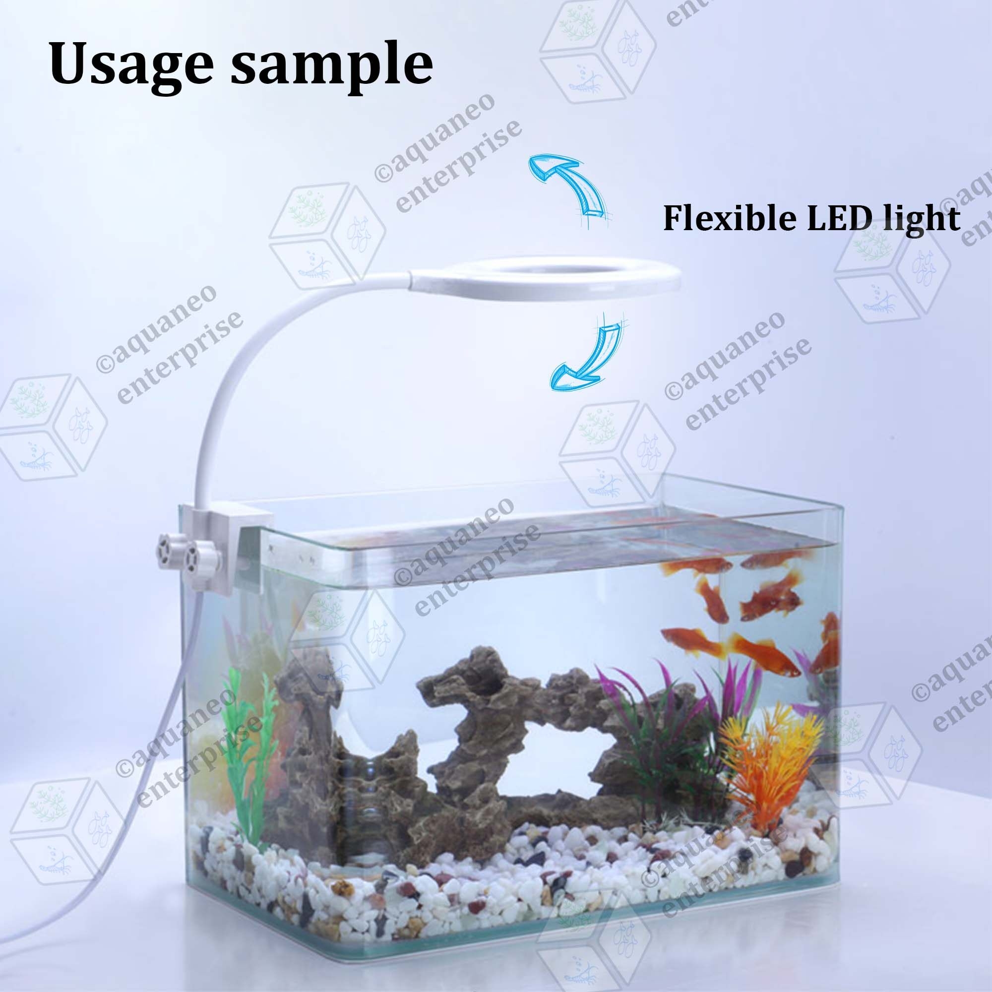 Lighting for Fish Breeding Tanks: Essential Tips for Success
