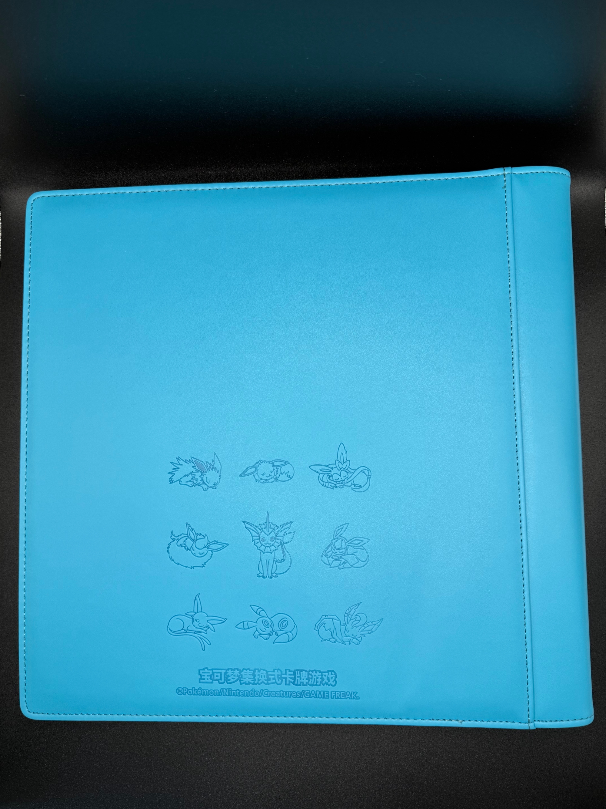 Brick & Block | Eeveelution Card Binder (4x3 Layout) 480 pcs | Pokemon TCG Simplified Chinese | Brick & Block Hobby Store Brick & Block | Eeveelution Card Binder (4x3 Layout) 480 pcs | Pokemon TCG Simplified Chinese | Brick & Block Hobby Store