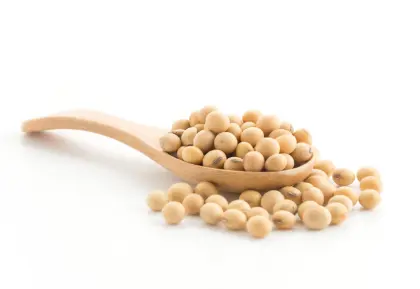 Caroma Organic Soy Milk Powder from the Organic Soy Series.
