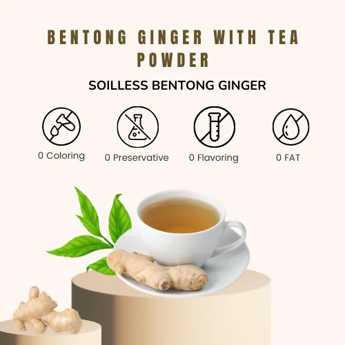 Bentong Ginger with