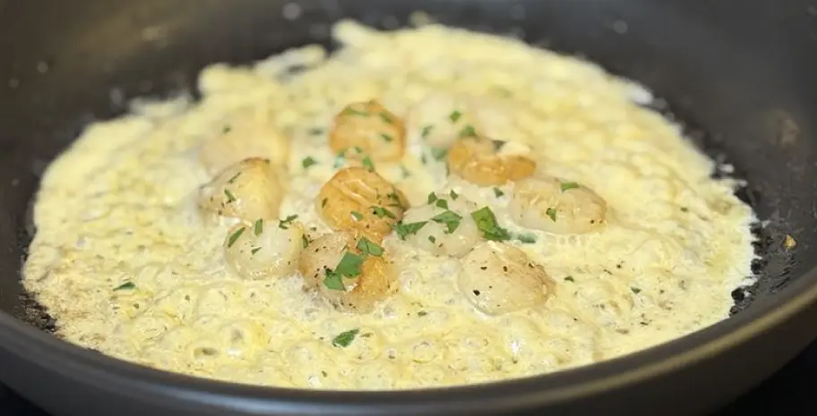 French Creamy Scallo