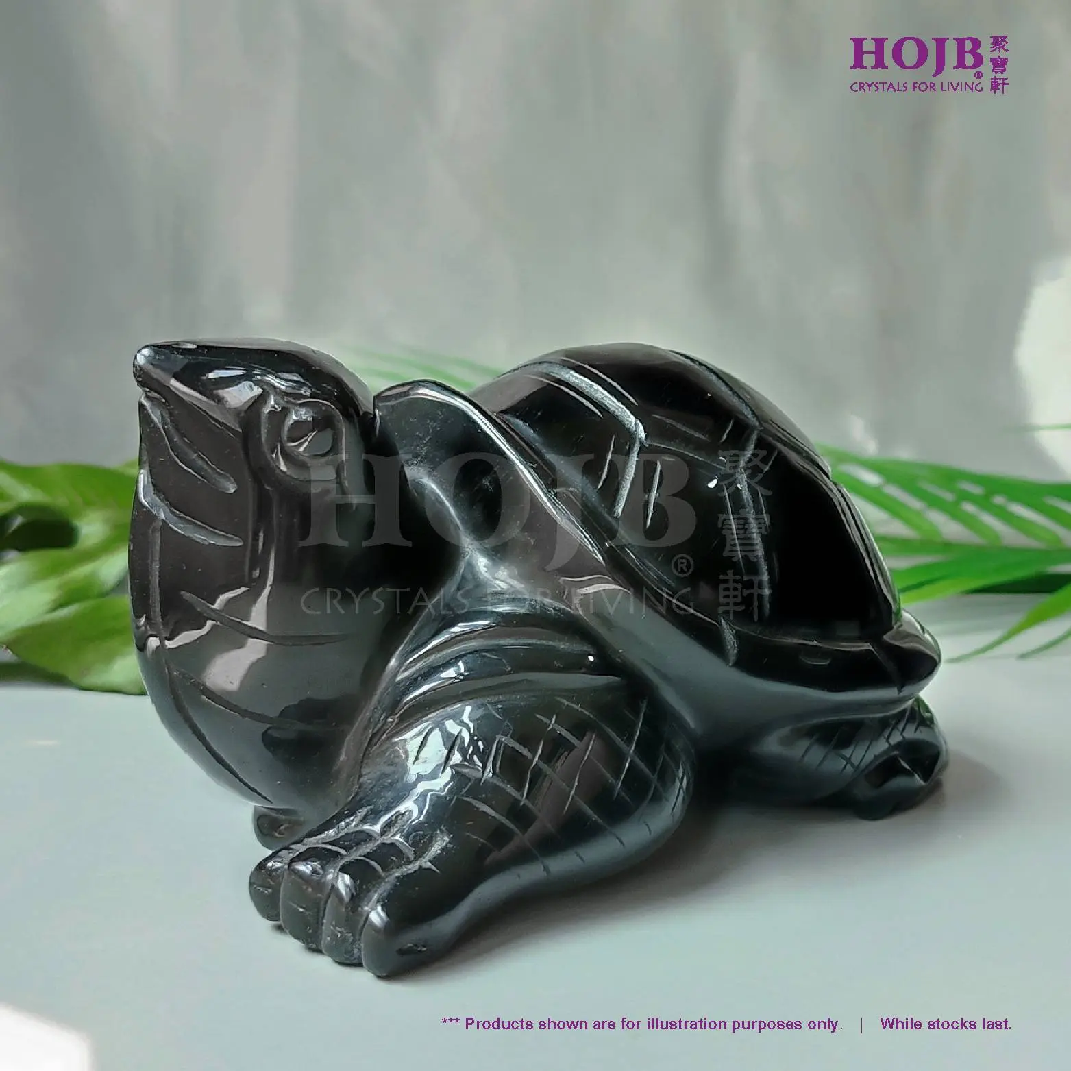 HOJB Natural Mexican-2