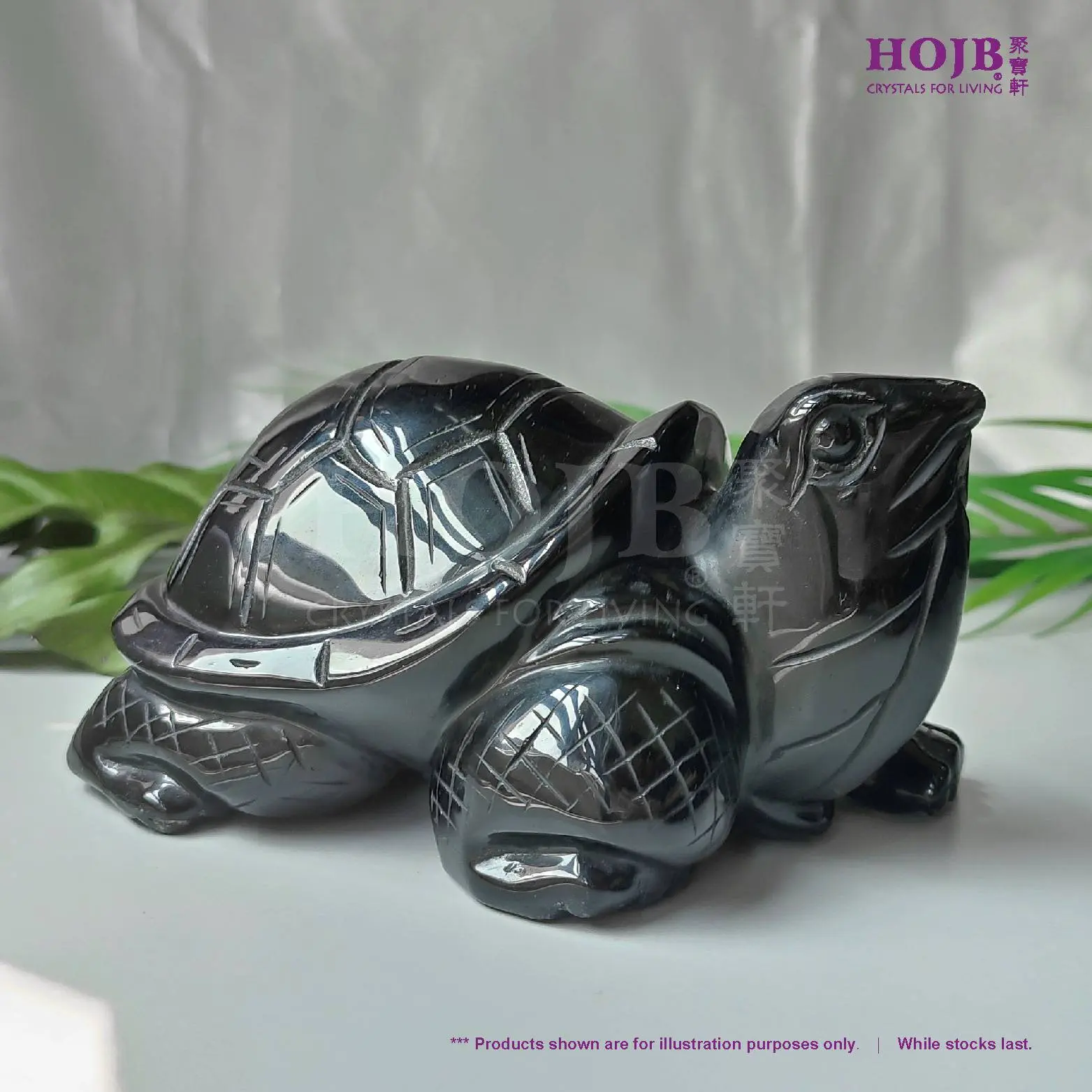 HOJB Natural Mexican-1