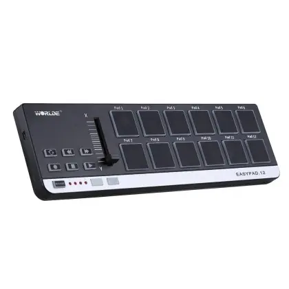 Worlde EasyPad.12 Dr-2