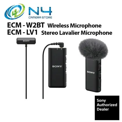 Sony ECM-W2BT Camera-2