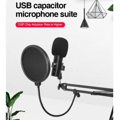 MUZIK+ USB Microphon-2