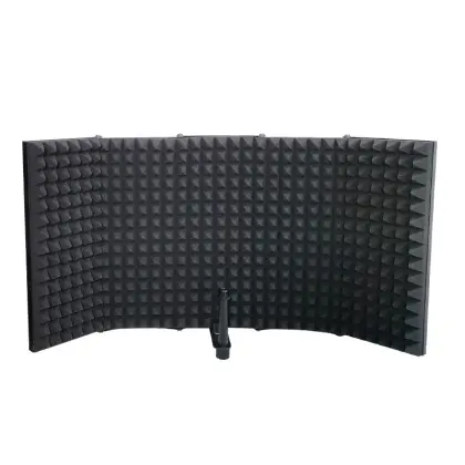 Microphone Isolation-2