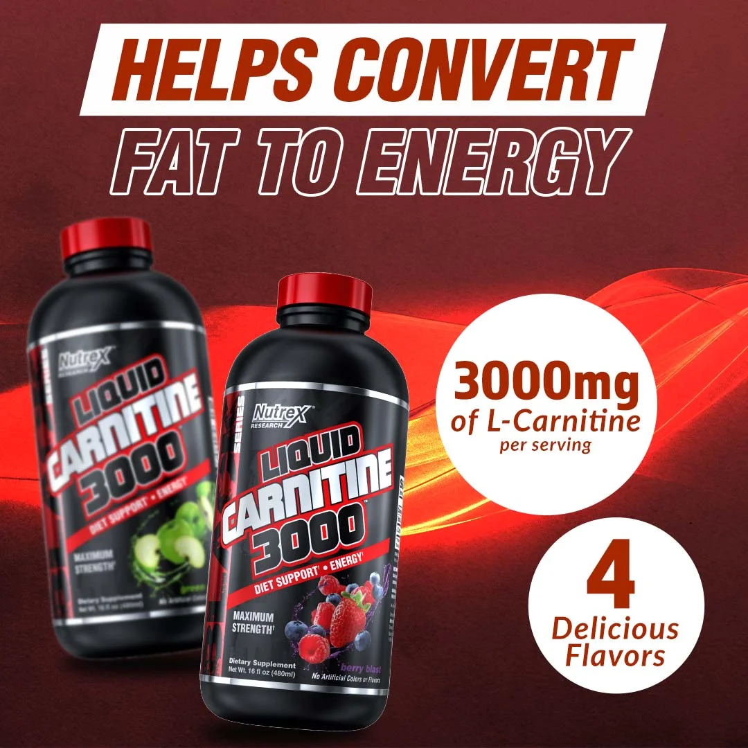 l carnitine 3000 nutrex L-Carnitine Liquid Energy & Metabolism Tiger Fitness which is why it is important for athletes L-Carnitine 3000, Berry Blast, 15.72