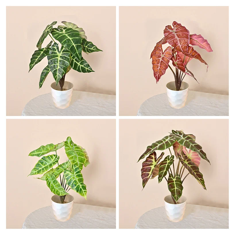 ROMANTIKA 56CM POTTE