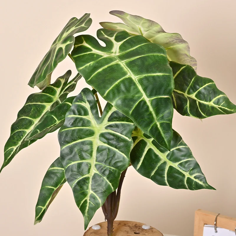 ROMANTIKA 56CM POTTE