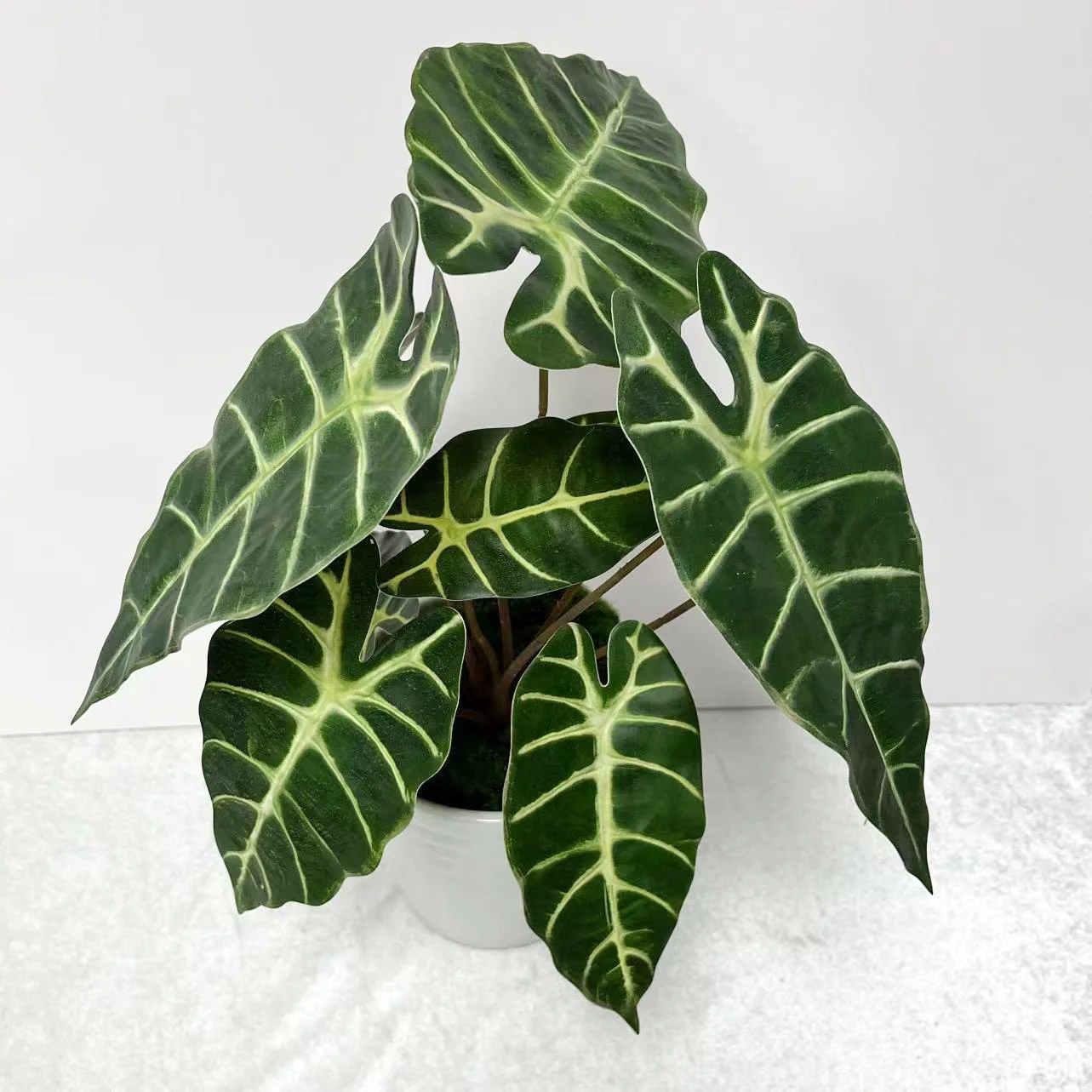 ROMANTIKA 56CM POTTE